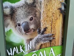 -费瑟代尔野生动物园