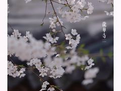 -龙华寺