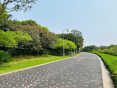 -深圳湾公园(南山区)