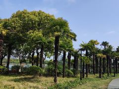 -黄兴公园