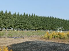 -嘉北郊野公园