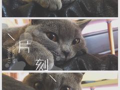 -MJ魔爵全机关真人密室逃脱(青浦万达茂店)