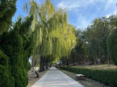 -元大都城垣遗址公园