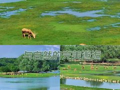 -南海子公园