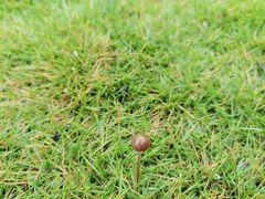 -三峡国际房车露营地(G348店)