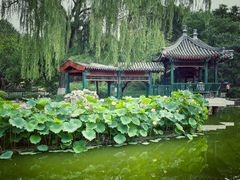 -宣武艺园