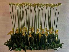 -荷兰布尔玛国际花艺学院