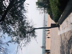 -八大关景区