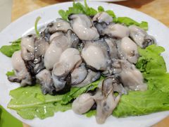 -金砂阿洲鱼册店