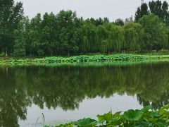 -东郊湿地公园