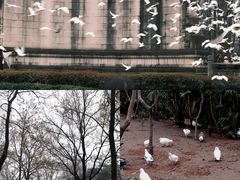 -音乐台