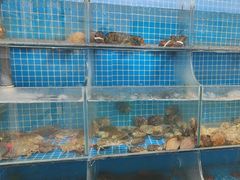 -宾朋海鲜特色美食餐厅·纯手工鲅鱼水饺(兴海路店)