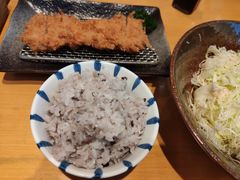 -胜博殿日式炸猪排(西红门店)