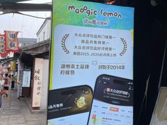 -猫的魔法密林(衣裳街店)