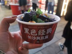 -黑色经典臭豆腐·湖南特产(步行街店)