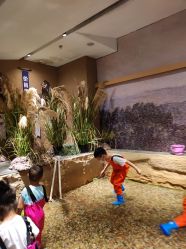 -造物庄园 萌宠纪(苏州湾歌林公园店)