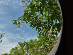 -海珠儿童公园