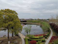 -上海鲜花港