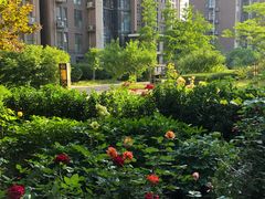 -蒲黄榆第二幼儿园(建邦华府分园)