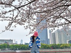 -西北湖绿化广场