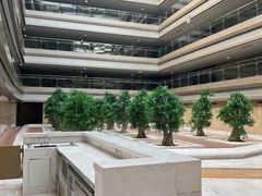 -南京禄口机场雅高铂尔曼大酒店