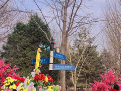 -北京野生动物园