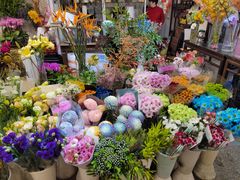 -双季花艺园艺市场(浦东店)