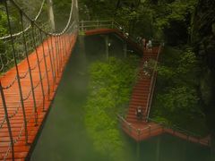 -牛背梁国家森林公园