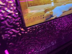 -星聚会KTV X Party(上海真如中海环宇城店)