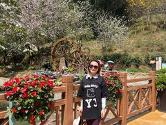 -广州白江湖森林公园