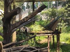 -云南野生动物园