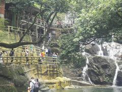 景点-鼎湖山风景区