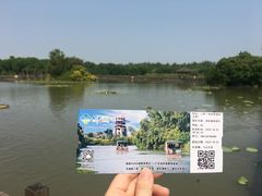 -大湾区中央湿地公园