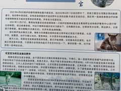 -青藏高原野生动物园