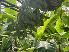 -兴芮温泉度假区