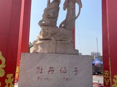 -曹州牡丹园