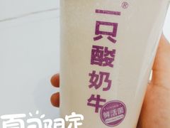 -一只酸奶牛(兰州中心店)