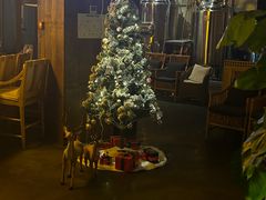 -不二·民谣音乐餐吧(长沙店)