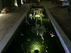 -T館·花园艺术餐厅