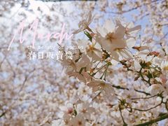 -龙美术馆(西岸馆)