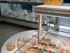 -蒲公英(五里店)
