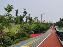 -上海长兴岛郊野公园