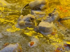 -王二爷药膳鸡(仙林学衡路店)