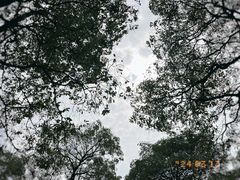 -海珠湖公园
