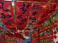 -玉石林风景区