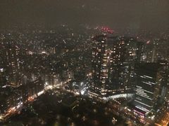 iphone_upload_pic-东京都厅舍