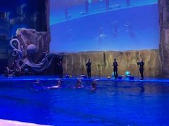 -华夏文旅海洋公园