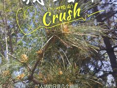 -绿岛公园(滨海新区)