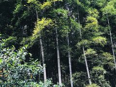 -穹窿山景区