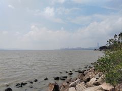-深圳湾公园(南山区)